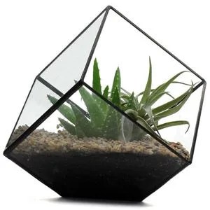 Terrarium-Gear-Patrol-Third