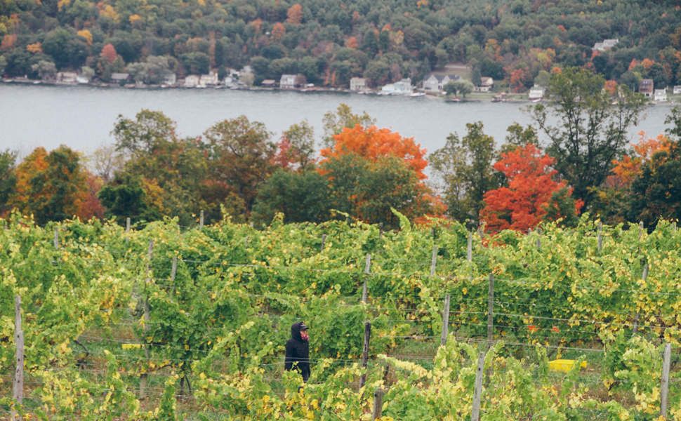 Finger-Lakes-Gear-Patrol-AMBIANCE-7-LG