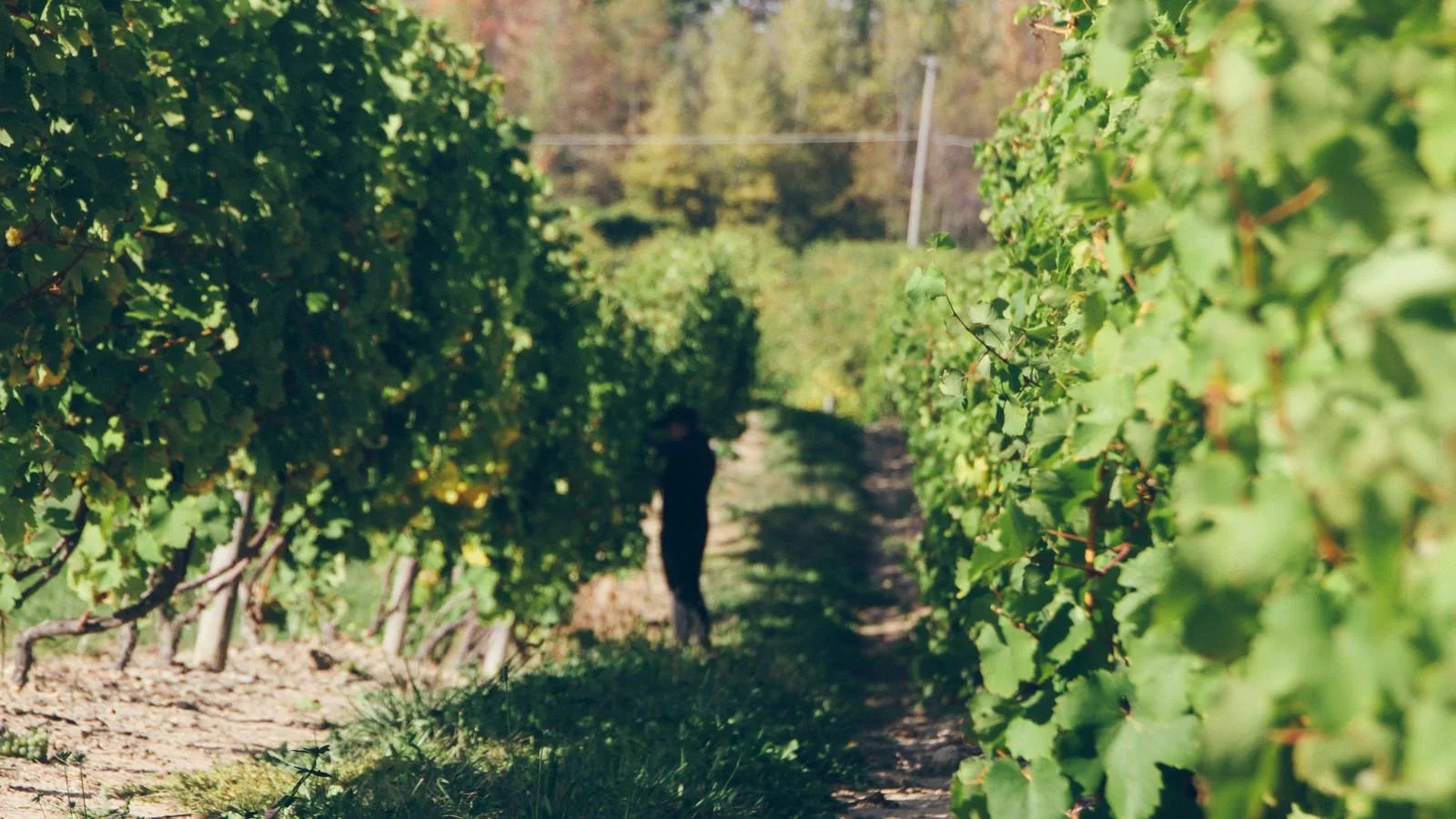 Finger-Lakes-Gear-Patrol-HEADER