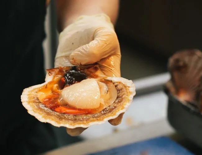 Scallop-Essay-Gear-Patrol-Lead