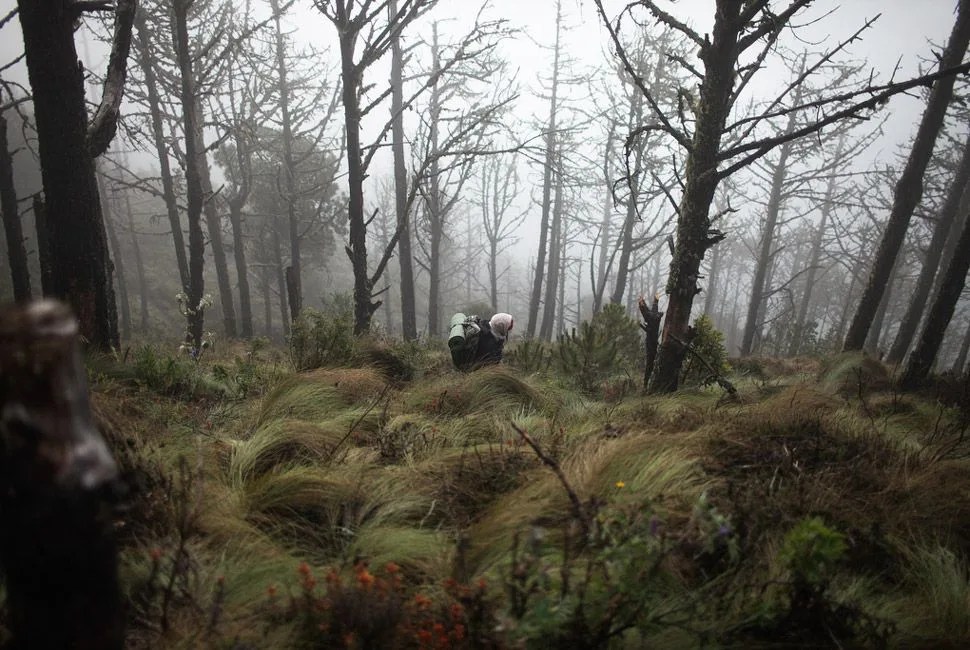 hiking-acatenango-guatemala-gear-patrol-slide-22.jpg