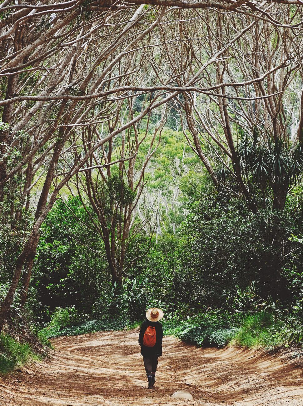 quiet-walk-with-friends-portrait