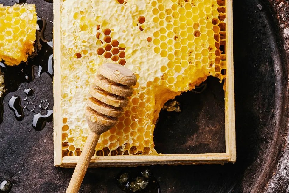 Best-Honey-Gear-Patrol-Lead-Full