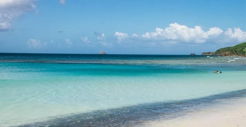 Culebra-Bonefish-Gear-Patrol-Ambiance