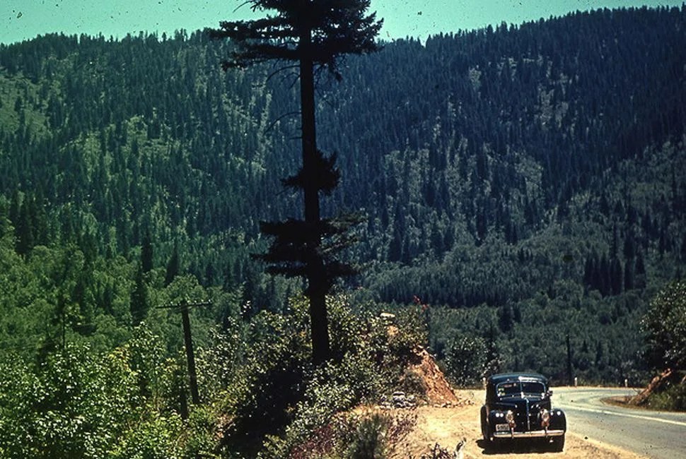 kchrome-gear-patrol-California
