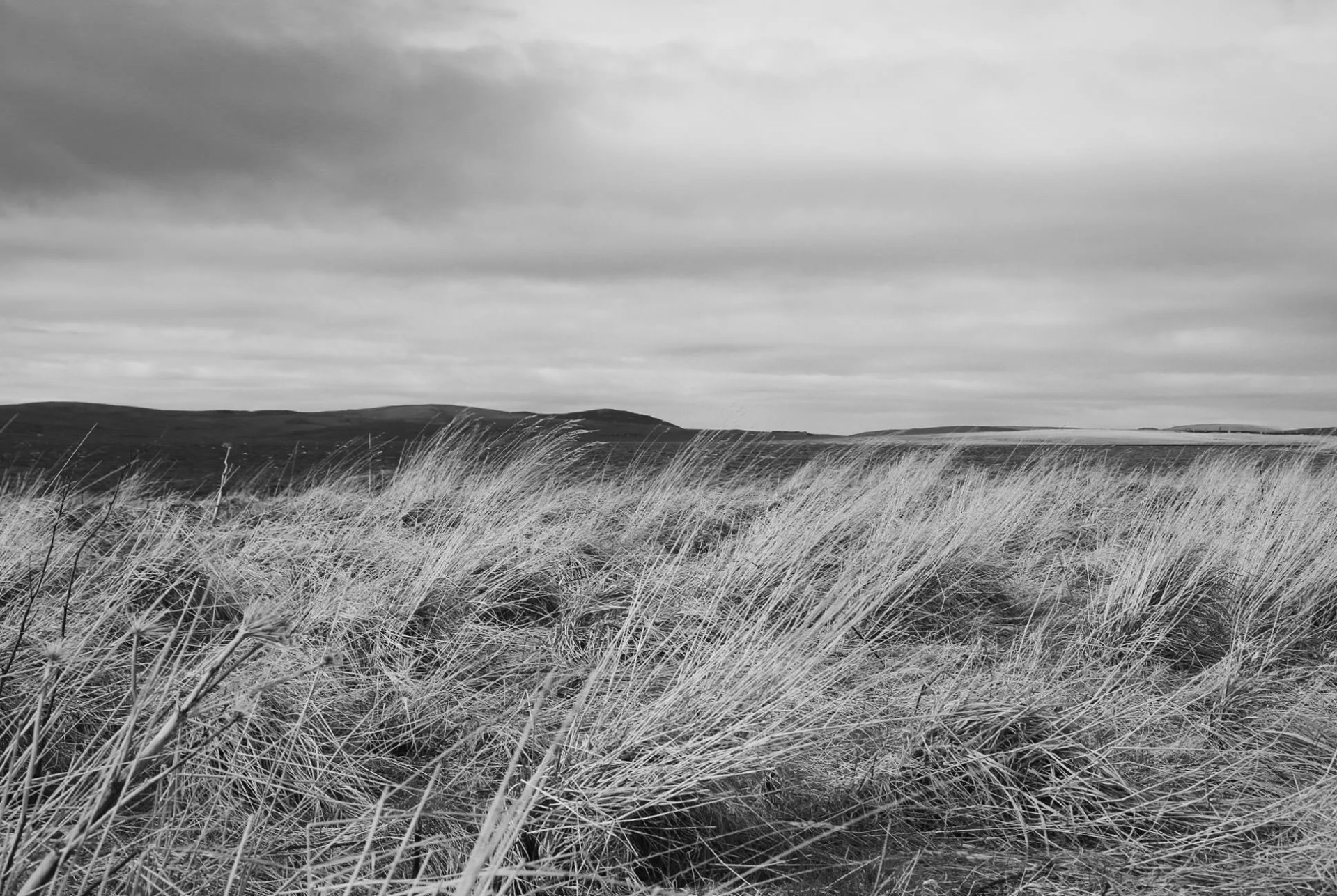 scotch-whisky-subheader-gear-patrol