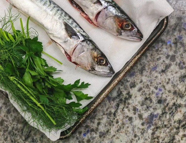 Find-The-Right-Fish-Gear-Patrol
