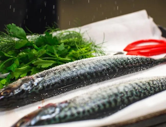 Prep-Fish-Gear-Patrol