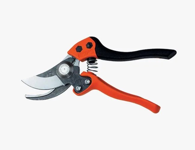 Pruner-Gear-Patrol