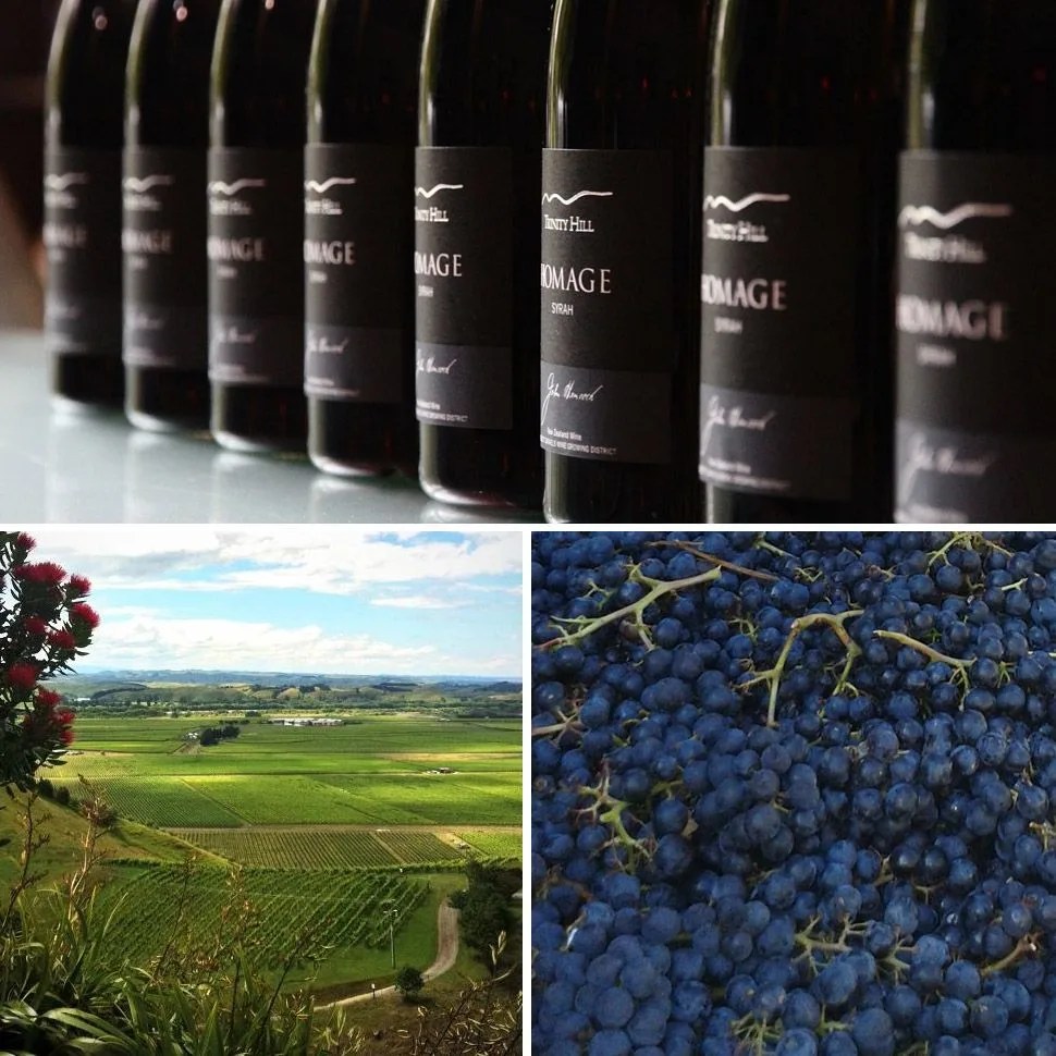 best-wineries-of-new-zealand-trinity-hill-gear-patrol