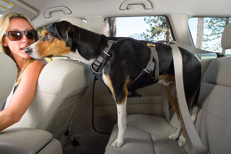 Ruffwear-Gear-Patrol-LEAD-FULL
