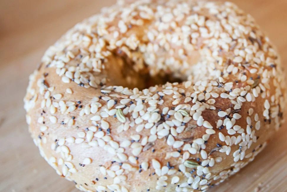 Gregs-Bagels-Gear-Patrol-Belvedere-Square
