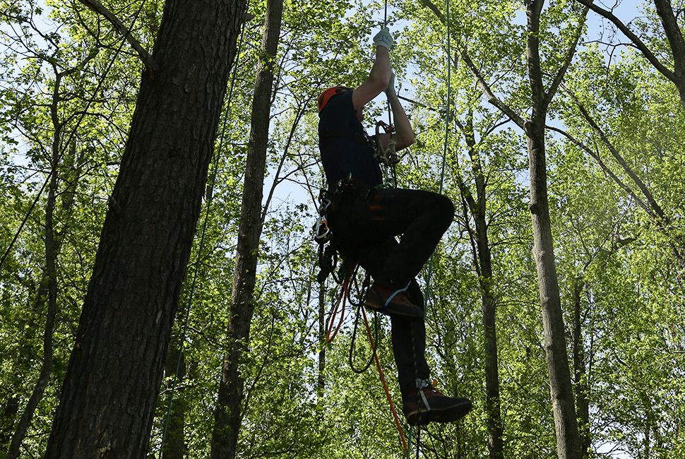 danger-jobs-gear-patrol-johnson