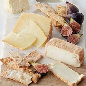 Cheese-Gear-Patrol