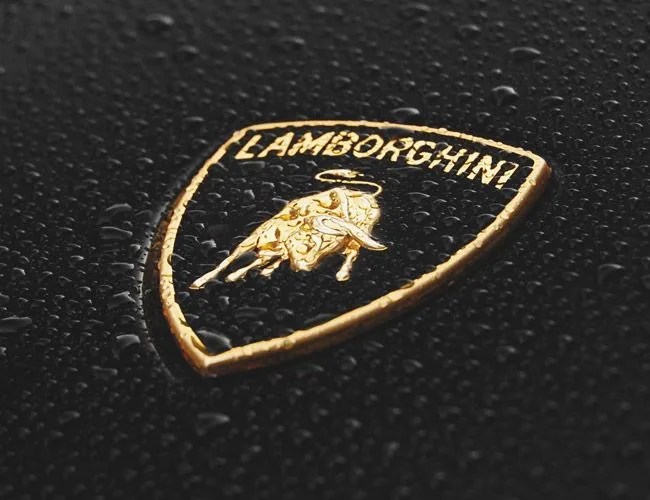 TWIM-gear-patrol-lamb
