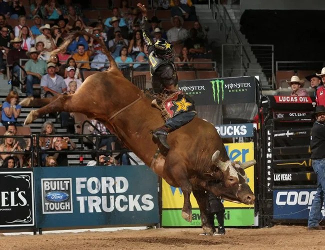 Bushwacker-Gear-Patrol