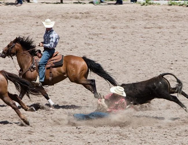How-To-Wrestle-A-Steer-Gear-Patrol-Lead