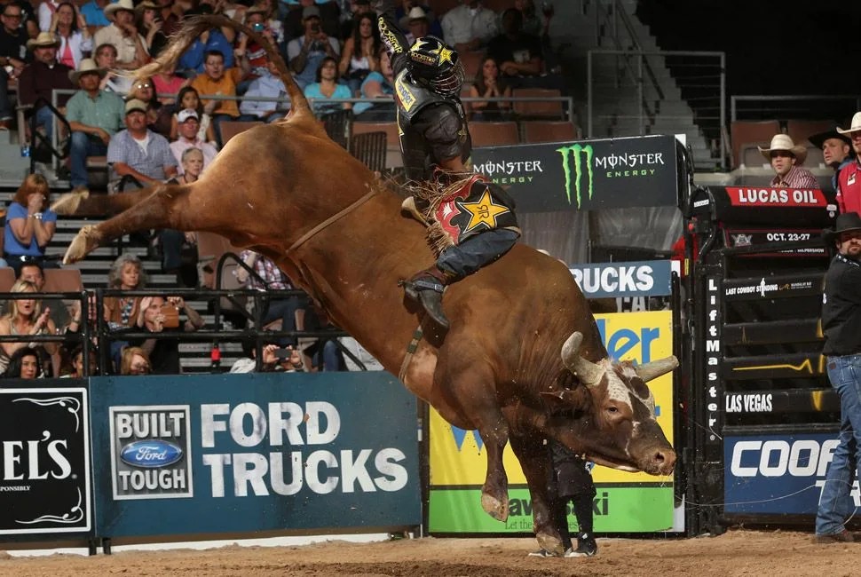 a bull rider sits atop a brown bull as it kicks its hind legs in the air