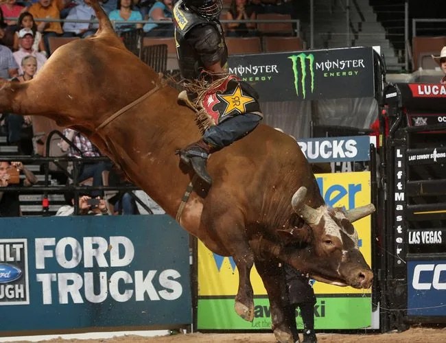 a bull rider sits atop a brown bull as it kicks its hind legs in the air