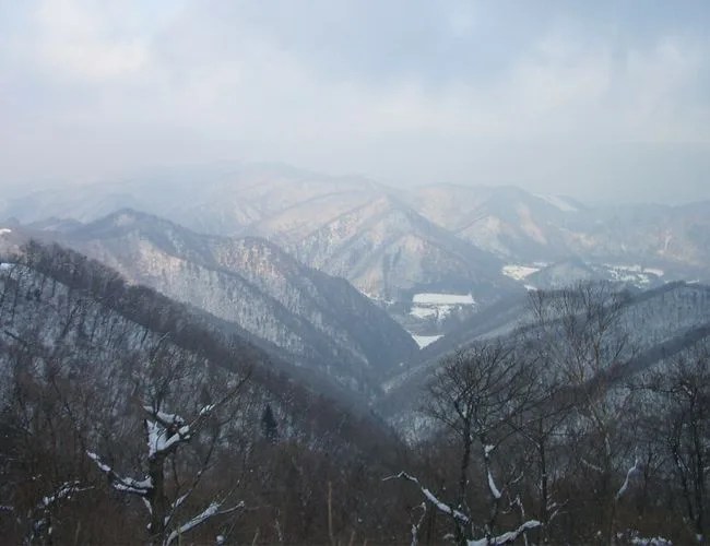 TWISO-gear-patrol-china