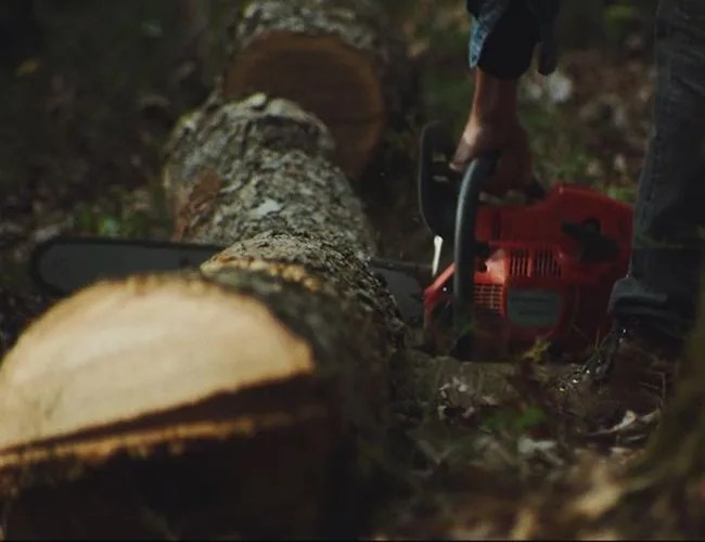greenwood-gear-patrol-650