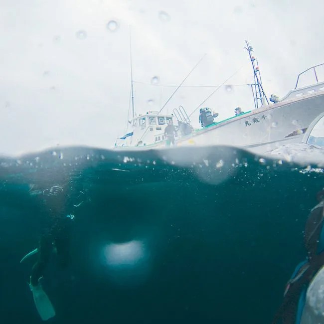Diving-Japan-Gear-Patrol-Ambiance