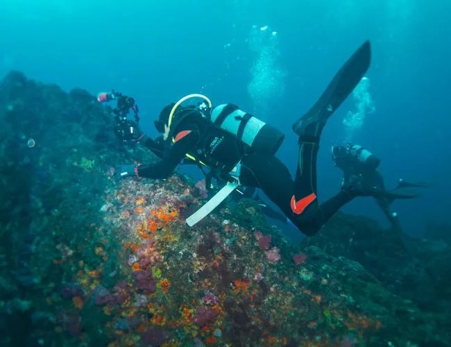 Diving-Japan-Gear-Patrol-Lead