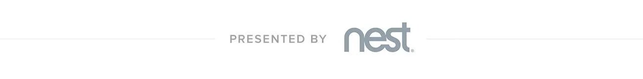 nest-Promo-Box-650×80