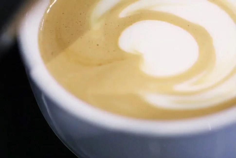 Latte-Art-Gear-Patrol-Lead-SLATE-