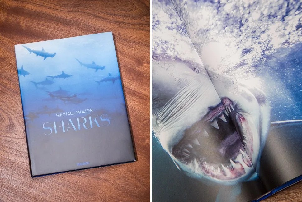 Coffee-Table-Books-Gear-Patrol-SHARKS