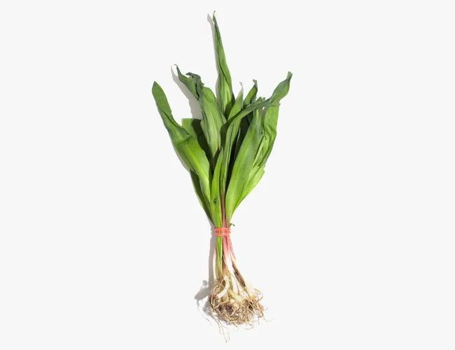 spring-vegetables-gear-patrol-ramps