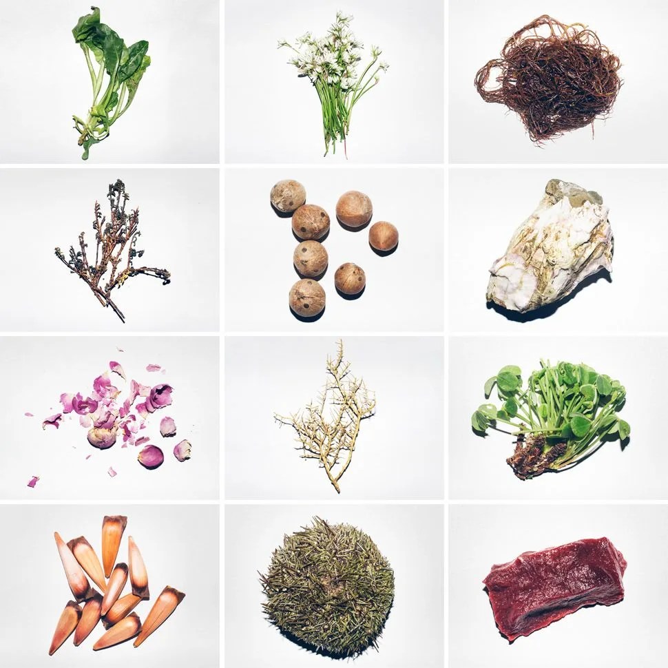 Borago-Ingredients-Gear-Patrol-Ambience