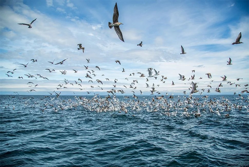GearPatrol_SJ_D3_1578