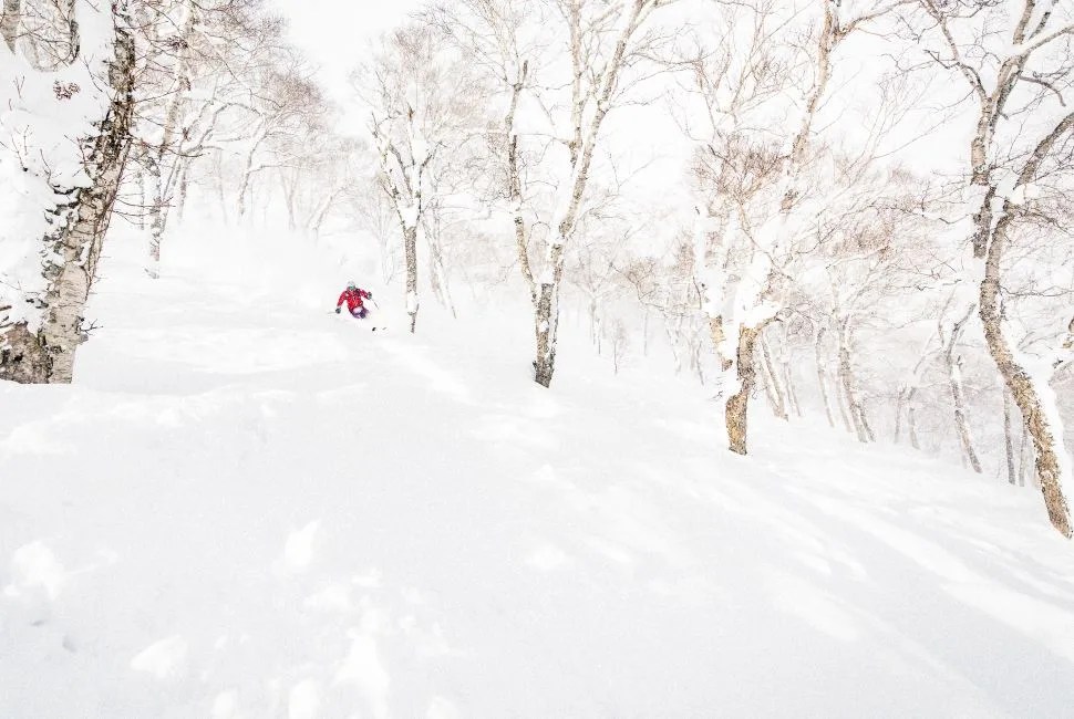 gear-patrol-hokkaido-970-8