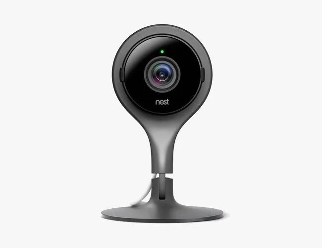 DON-gear-patrol-nest