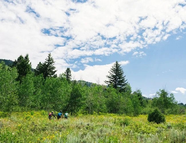 Best-Mountain-Bike-Trails-Wyoming-Gear-Patrol-Lead