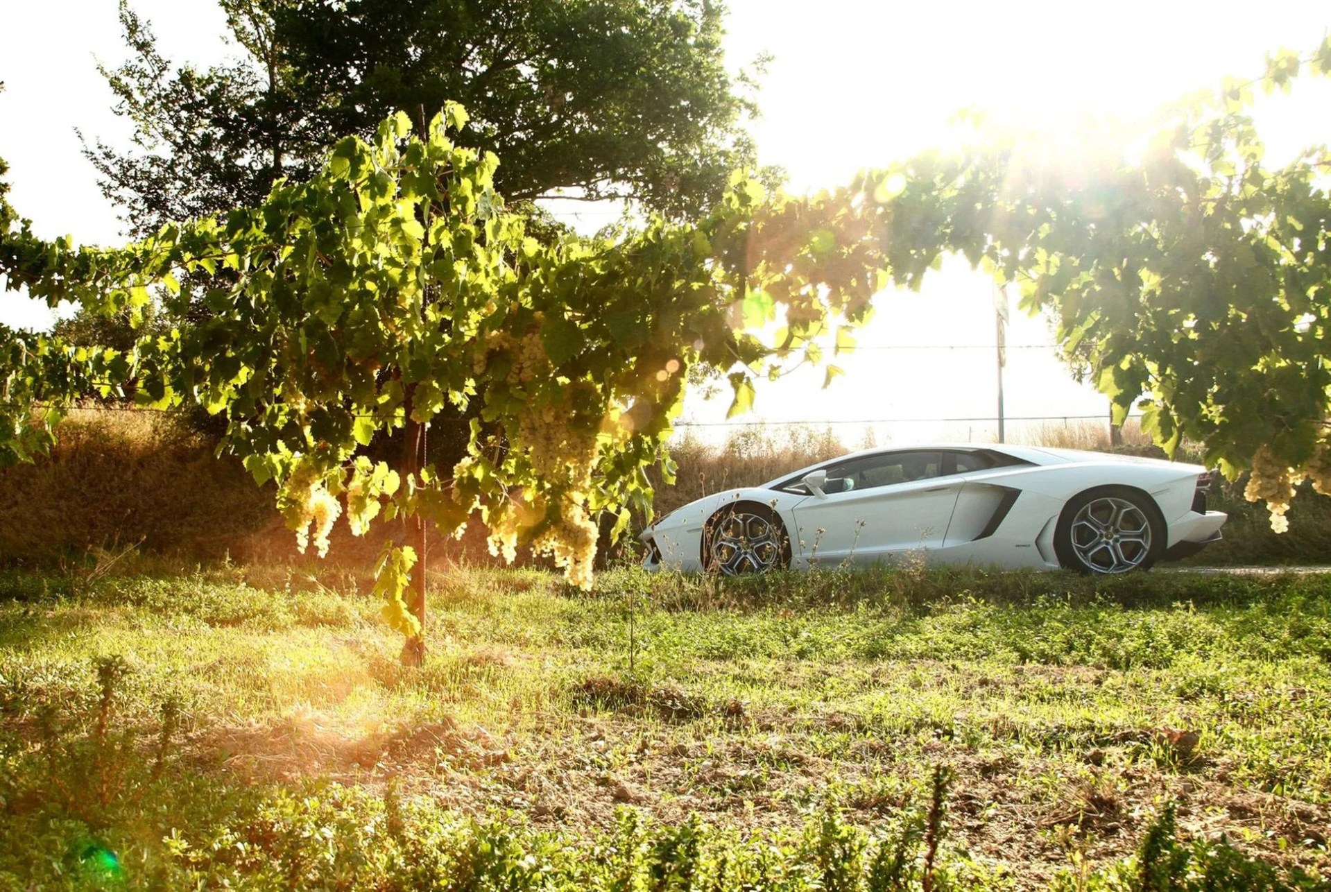 Clarkson-Cars-Gear-Patrol-Lamborghin