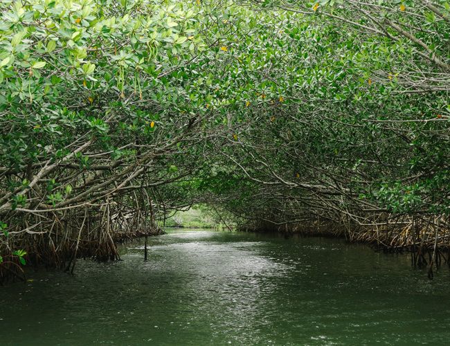 Everglades-Video-Gear-Patrol-Featured