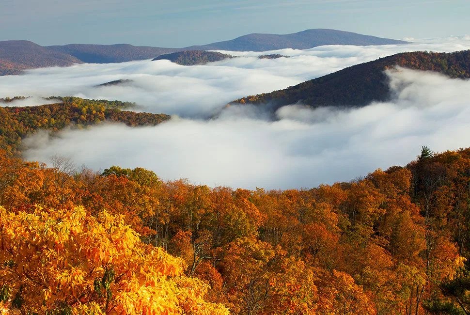 falls-best-colors-gear-patrol-FULL-LEAD