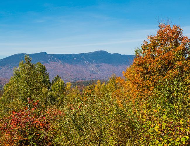 falls-best-colors-gear-patrol-mansfield