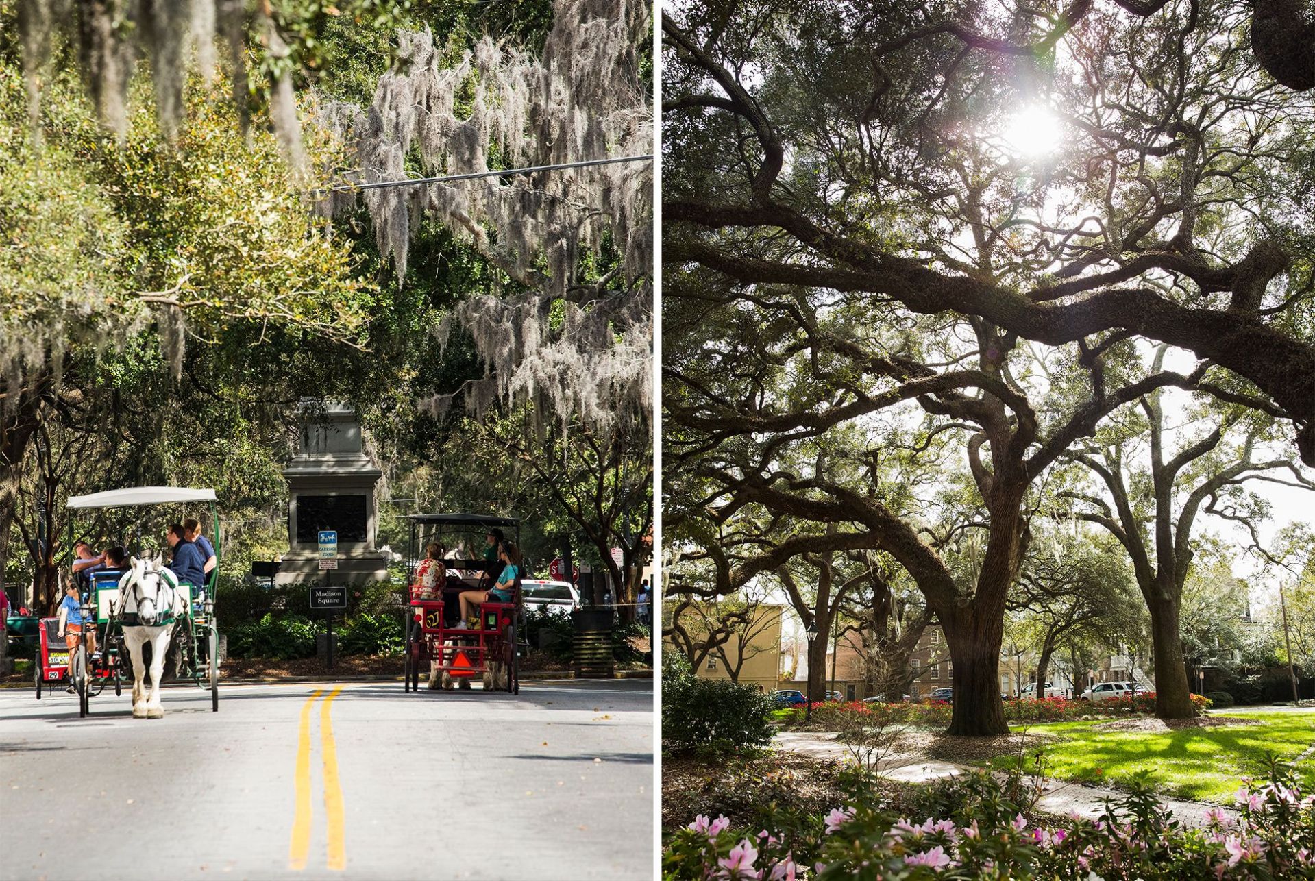 lowcountry-architecture-gear-patrol-thesquare