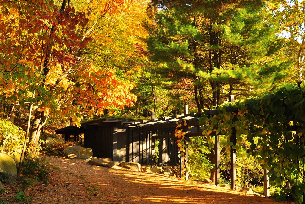 manitoga-gear-patrol-970