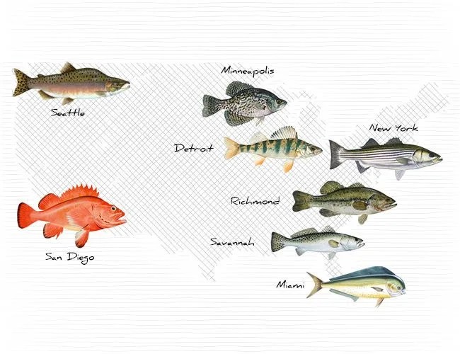 Urban-Fishing-Gear-Patrol-Lead
