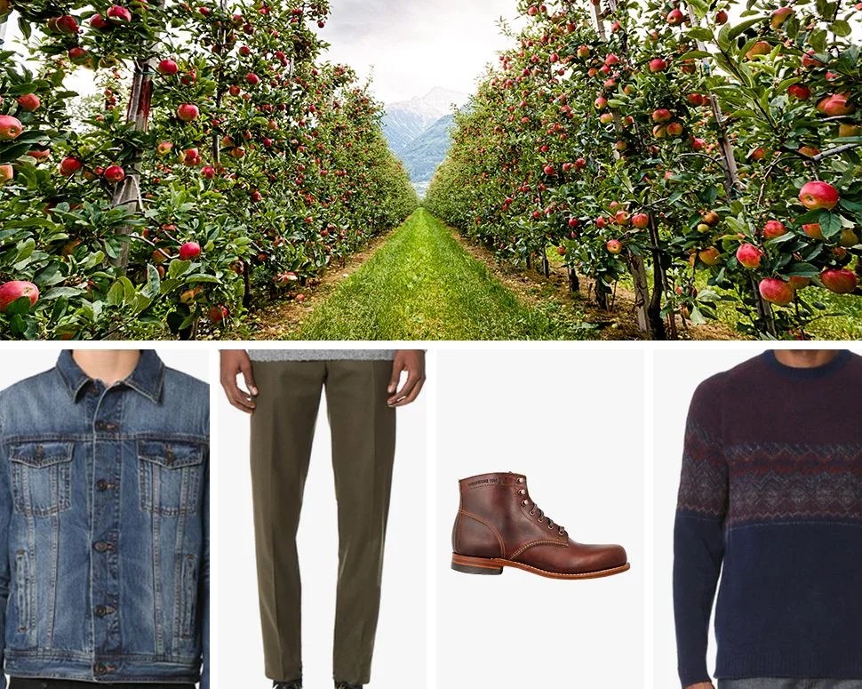apple-picking-gear-patrol-970-3