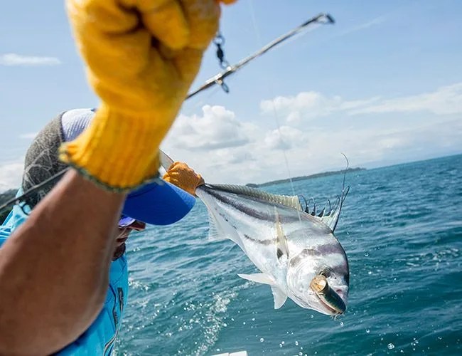 rooster-fish-gear-patrol-650