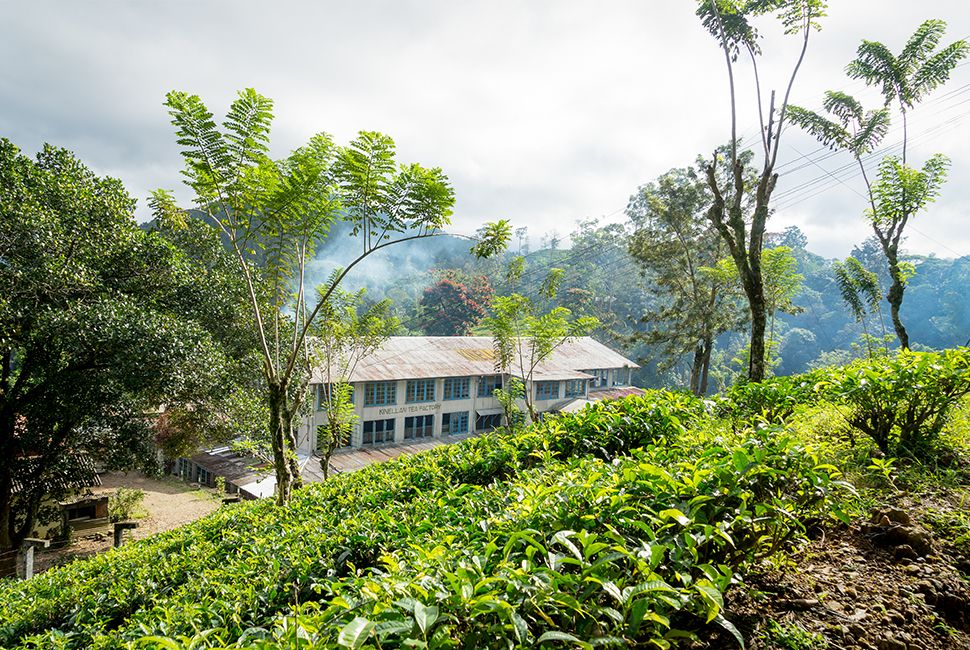 sri-lanka-gear-patrol-970-slider-4