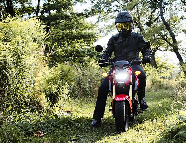 honda-grom-gear-patrol-feature