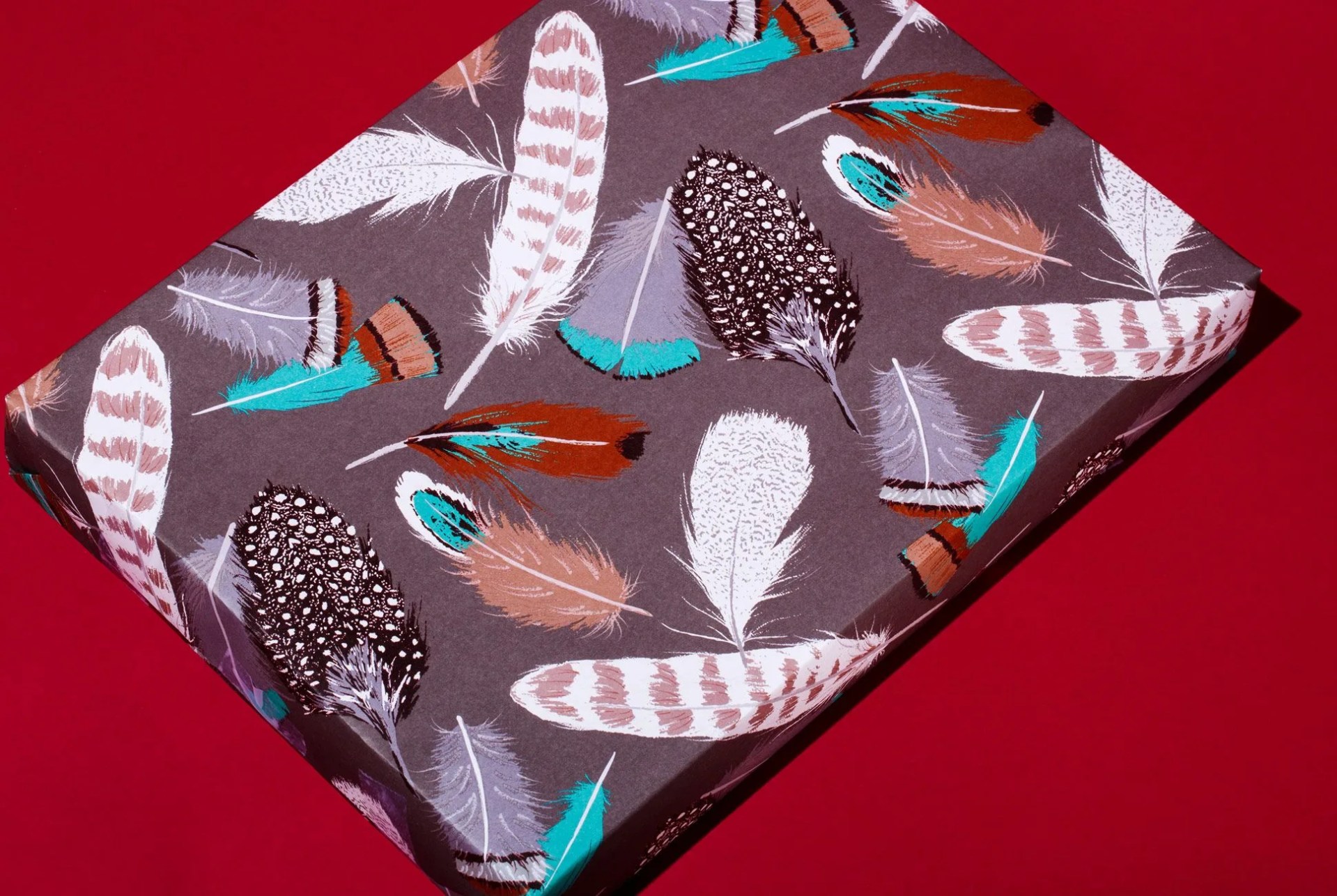 Designer-Wrapping-Paper-Gear-Patrol-Feathers