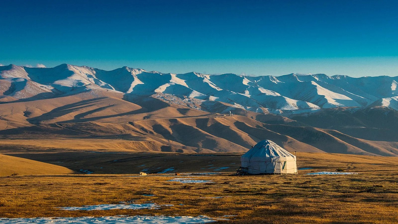 Adventure-List-Gear-Patrol-Mongolia