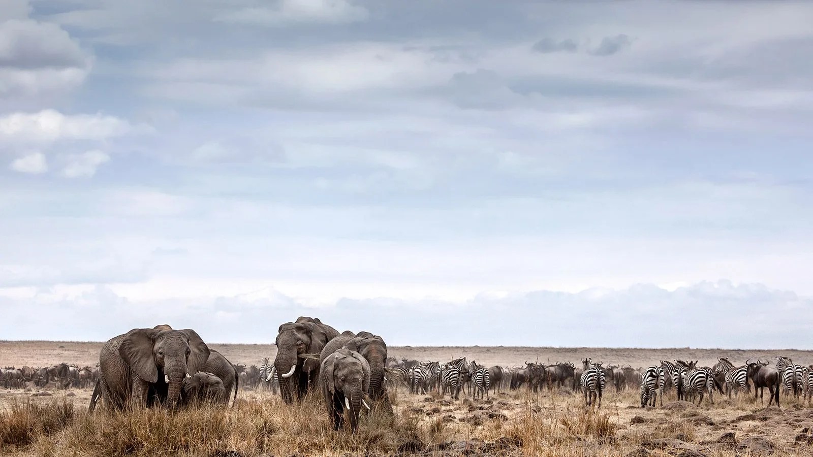 Adventure-List-Gear-Patrol-Okavango